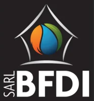 logo BFDI.PNG