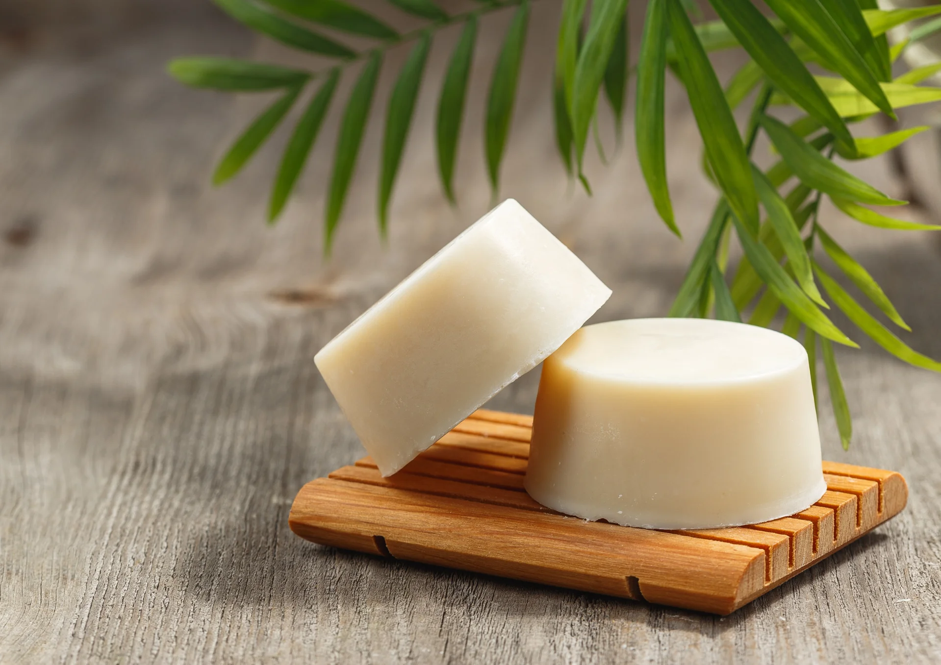 savon solide.png